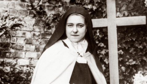 Lesson 8: An Elevator for “Little Souls” – The Way of Life of a Slave of Mary 8 8 1