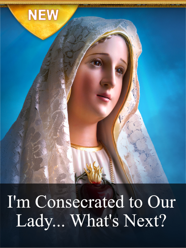 I’m Consecrated to Our Lady… What’s Next?