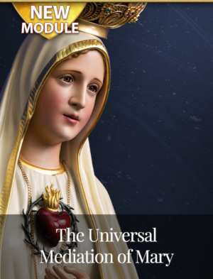 The universal Mediation of Mary
