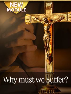 WhatsApp Image 2025-09-16 at 18.04.32