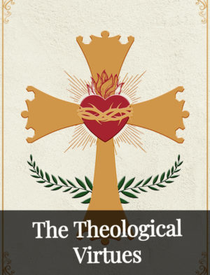 Card-THVI